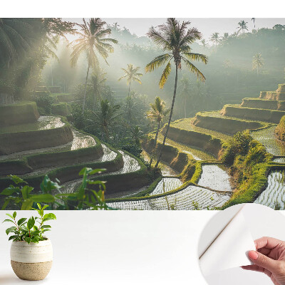 Modern tapéta Egzotikus rizsteraszok pálmafák között