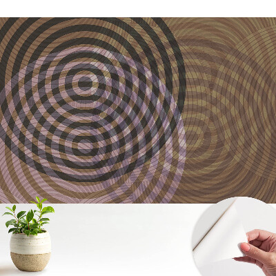 Dekor tapéta Koncentrikus körök retro modern