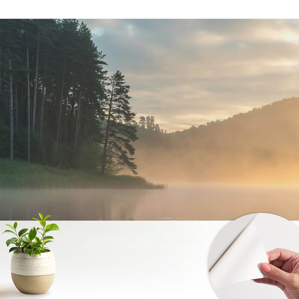 Modern tapéta Ködös táj reggel