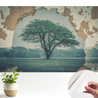 Dekor tapéta Nosztalgikus fa motívum egy régi fal hátterében