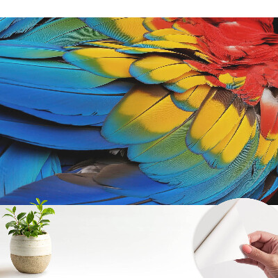 Öntapadós tapéta Színes tollak energikus mozaikja