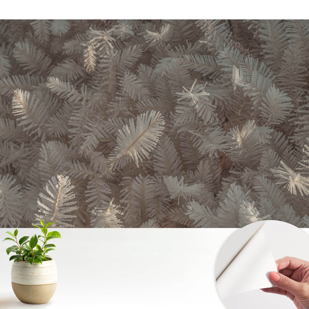 Modern tapéta Dér a növényeken és finom fény