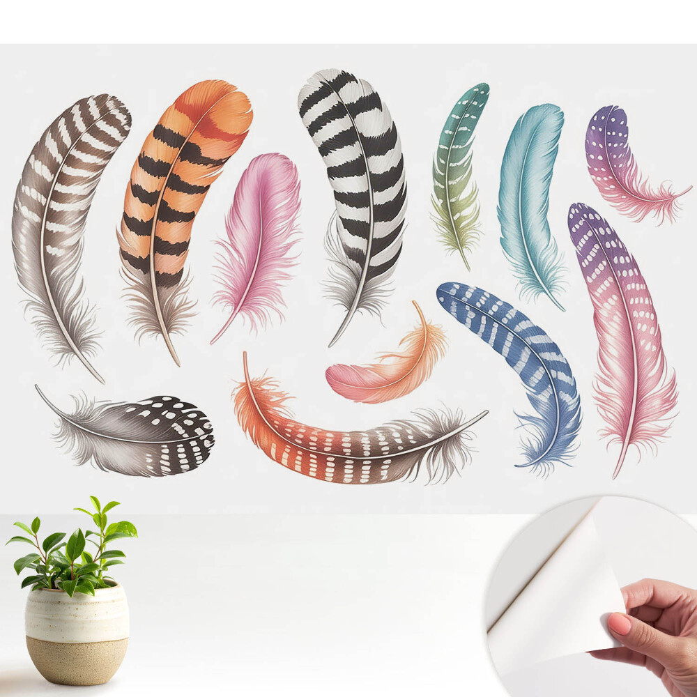 Tapéta Színes tollak modern dizájnnal