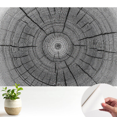 Tapéta Szimmetrikus fa körök kompozíciója