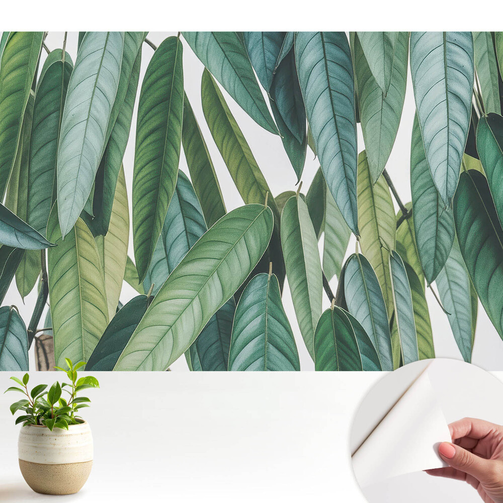 Öntapadós tapéta Zöld levelek minimalizmus természet