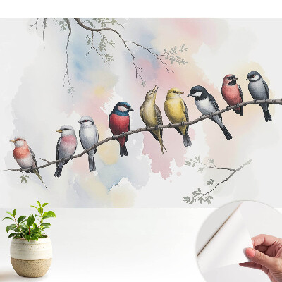 Öntapadó tapéta Színes madarak egy ágon