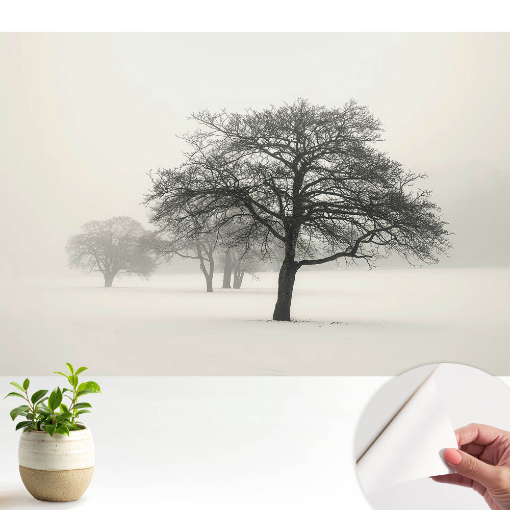 Modern tapéta Fák a ködös téli tájban