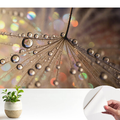 Modern tapéta A háttérben szétszórt cseppek finom szerkezete