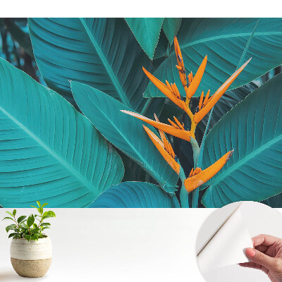 Tapéta Egzotikus növényi motívum