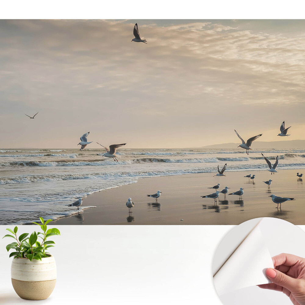 Öntapadó tapéta Sirályok a tengerparton naplementekor