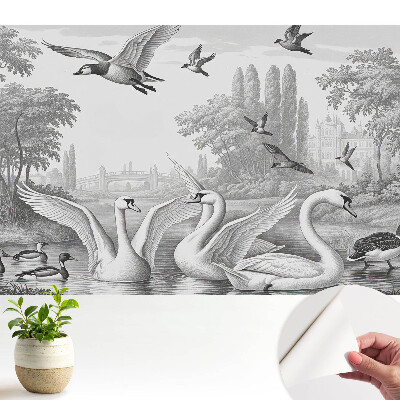 Öntapadó tapéta Romantikus táj hattyúkkal