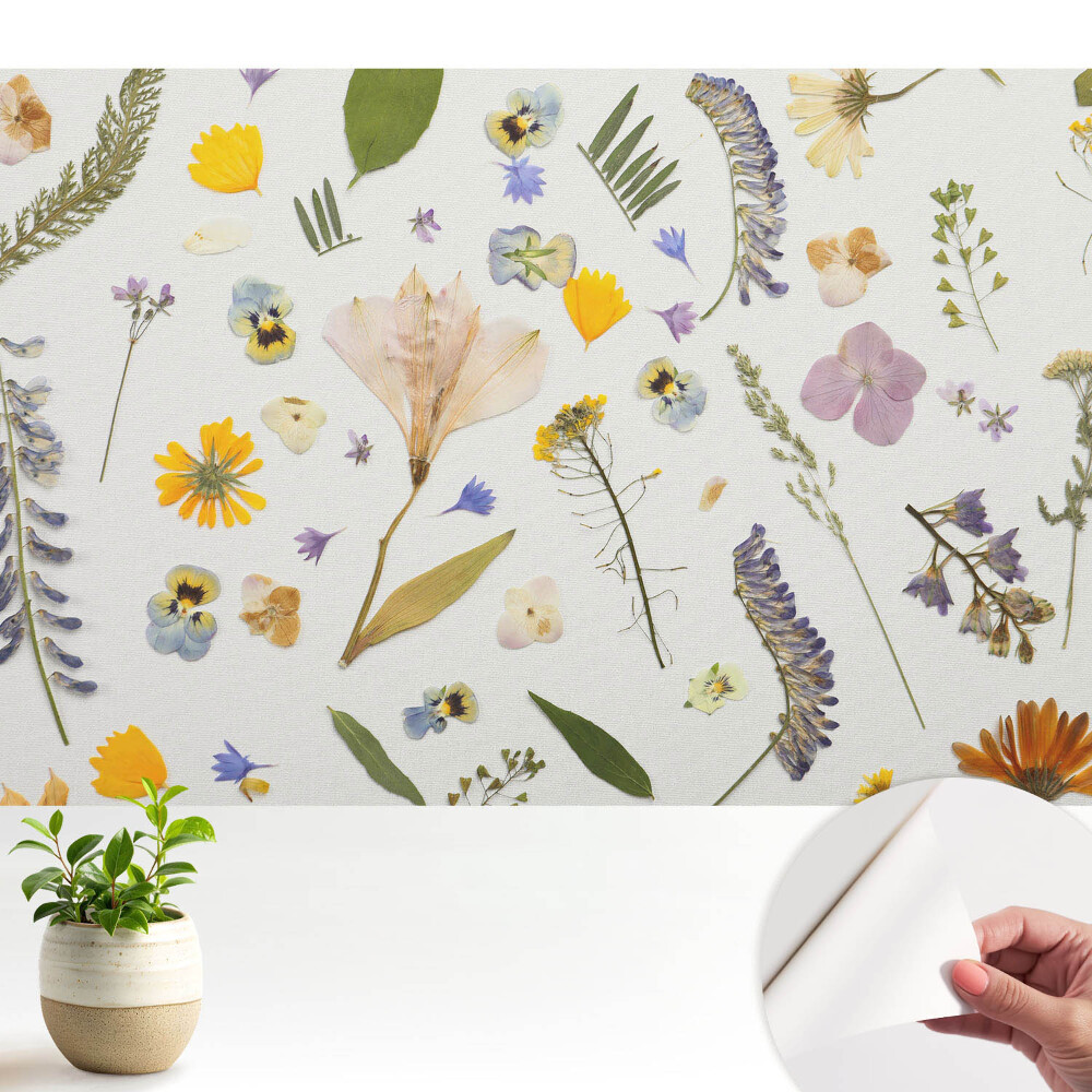 Modern tapéta Szárított virágok fehér vászonon