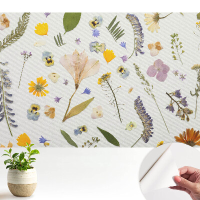 Modern tapéta Szárított virágok fehér vászonon