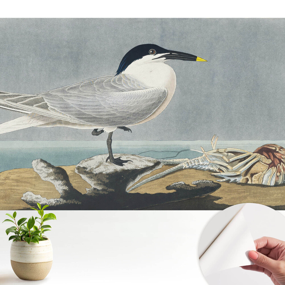 Öntapadós tapéta Egy elegáns madár a tenger ellen