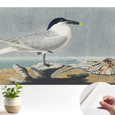 Öntapadós tapéta Egy elegáns madár a tenger ellen