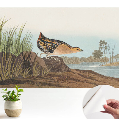 Dekor tapéta Egy madár a víz felett klasszikus stílusban