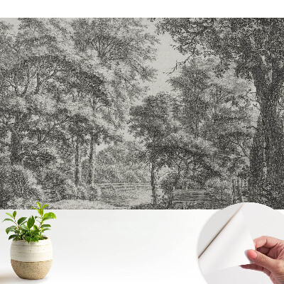 Öntapadó tapéta Klasszikus erdei táj, harmónia és béke