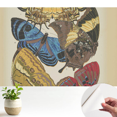 Modern tapéta Színes pillangók elegáns kompozícióban