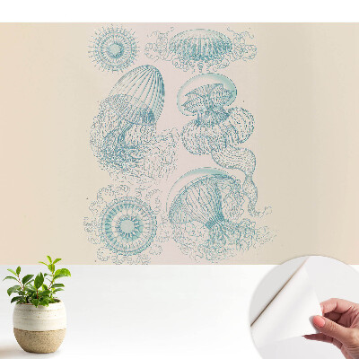 Tapéta Finom tengeri medúza rajzok