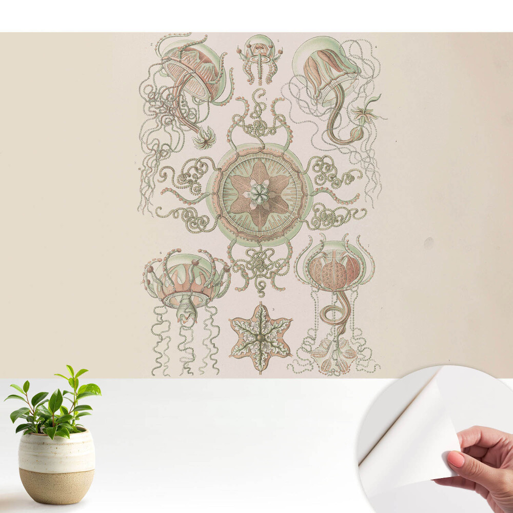 Öntapadós tapéta Finom medúza szimmetrikus motívum