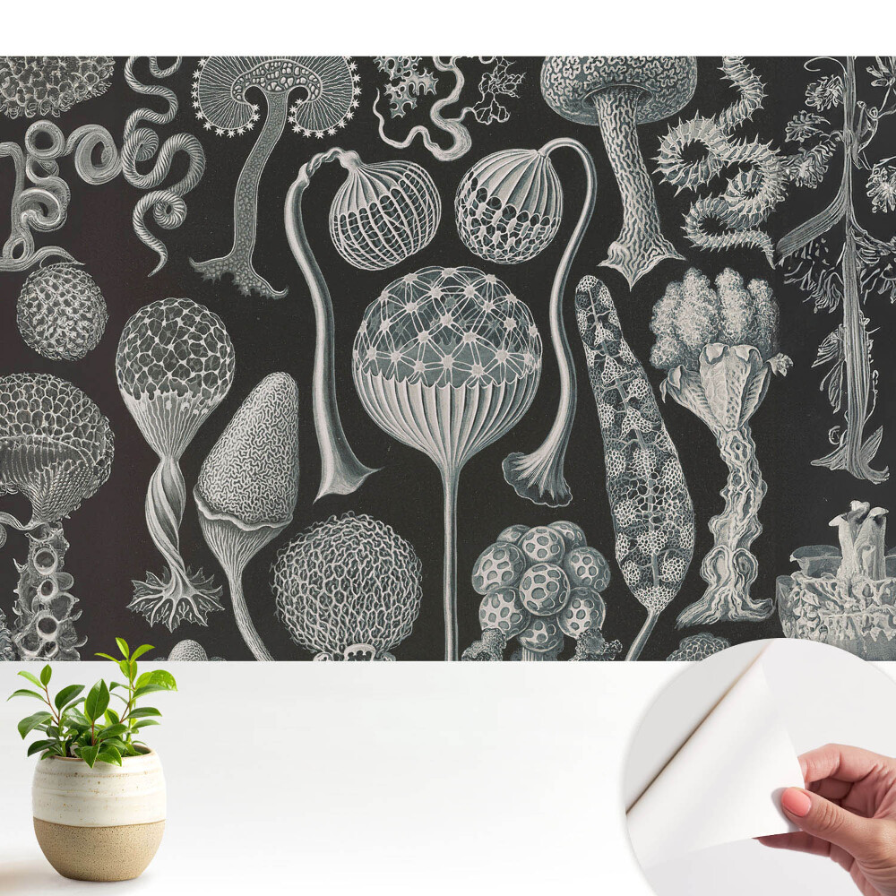 Modern tapéta Fantasztikus organikus formák fekete-fehérben