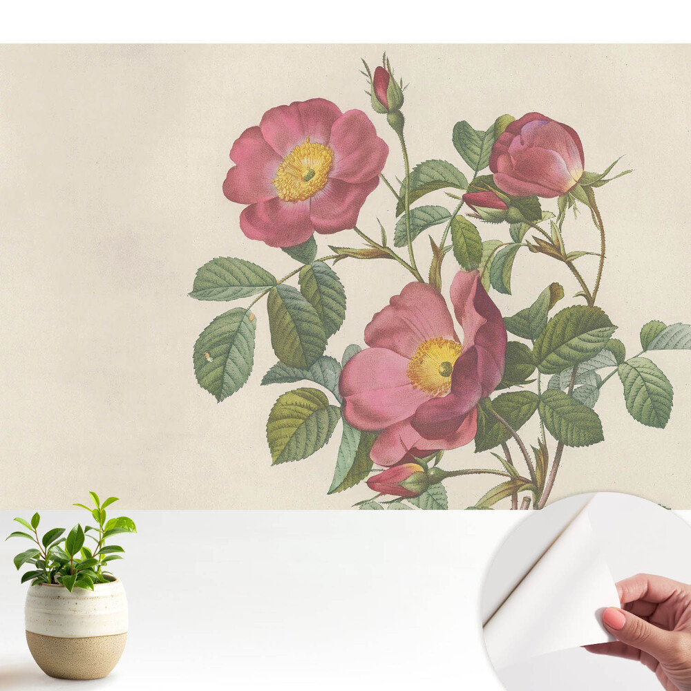 Dekor tapéta Vadrózsák klasszikus kompozícióban