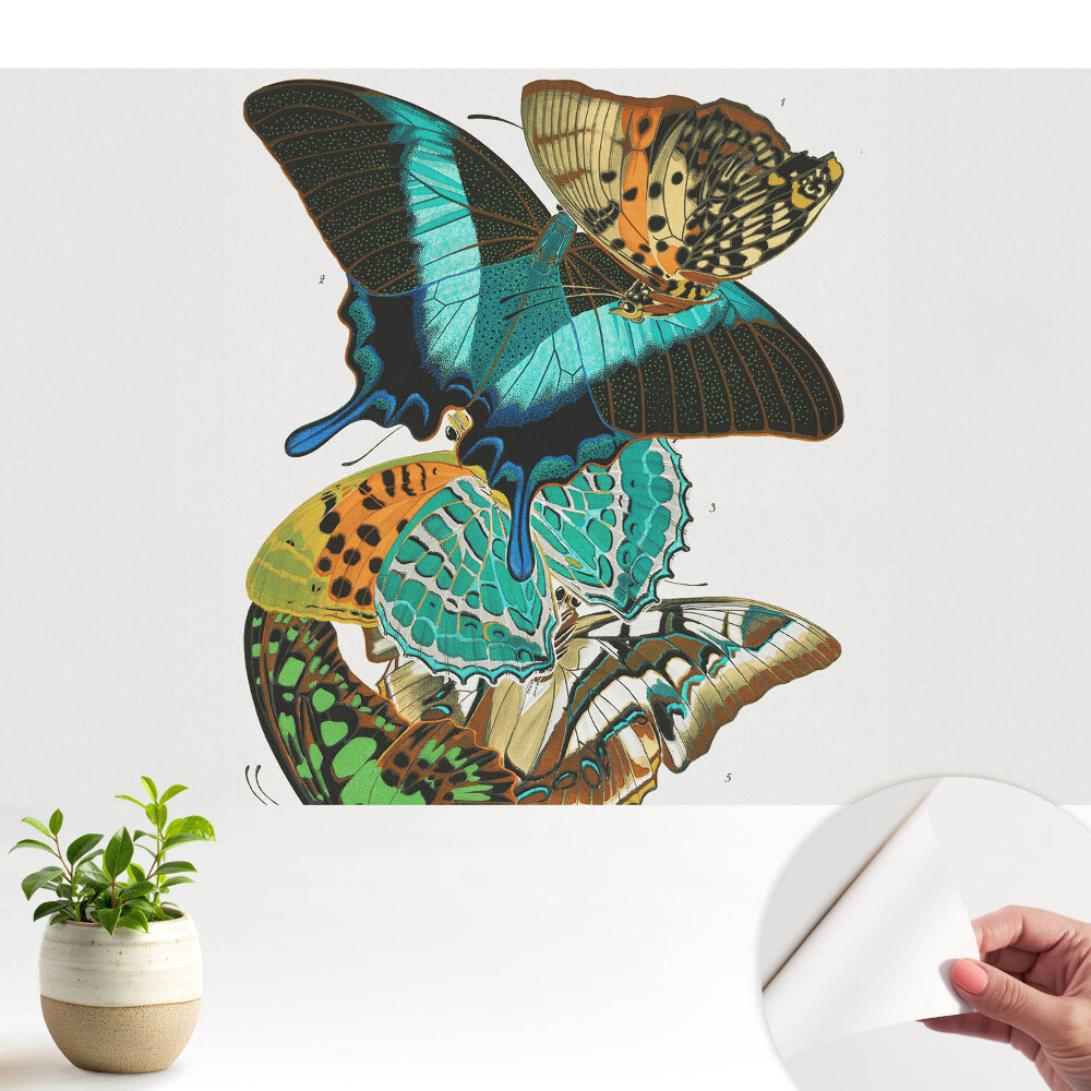 Öntapadó tapéta Színes pillangók klasszikus harmonikus kompozíció