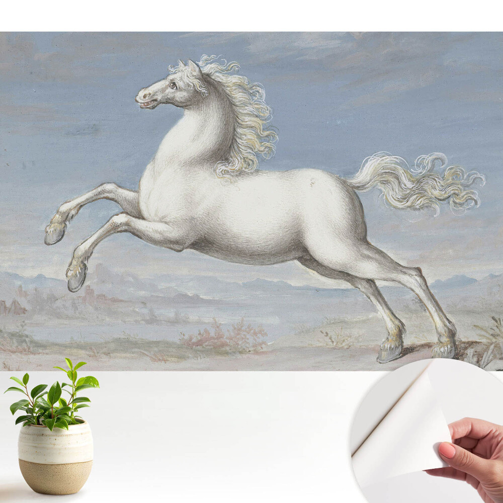 Öntapadó tapéta Egy fehér ló dinamikus ugrásban
