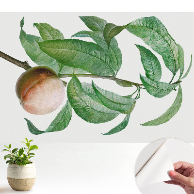 Öntapadós tapéta Őszibarack és levelek klasszikus stílusban