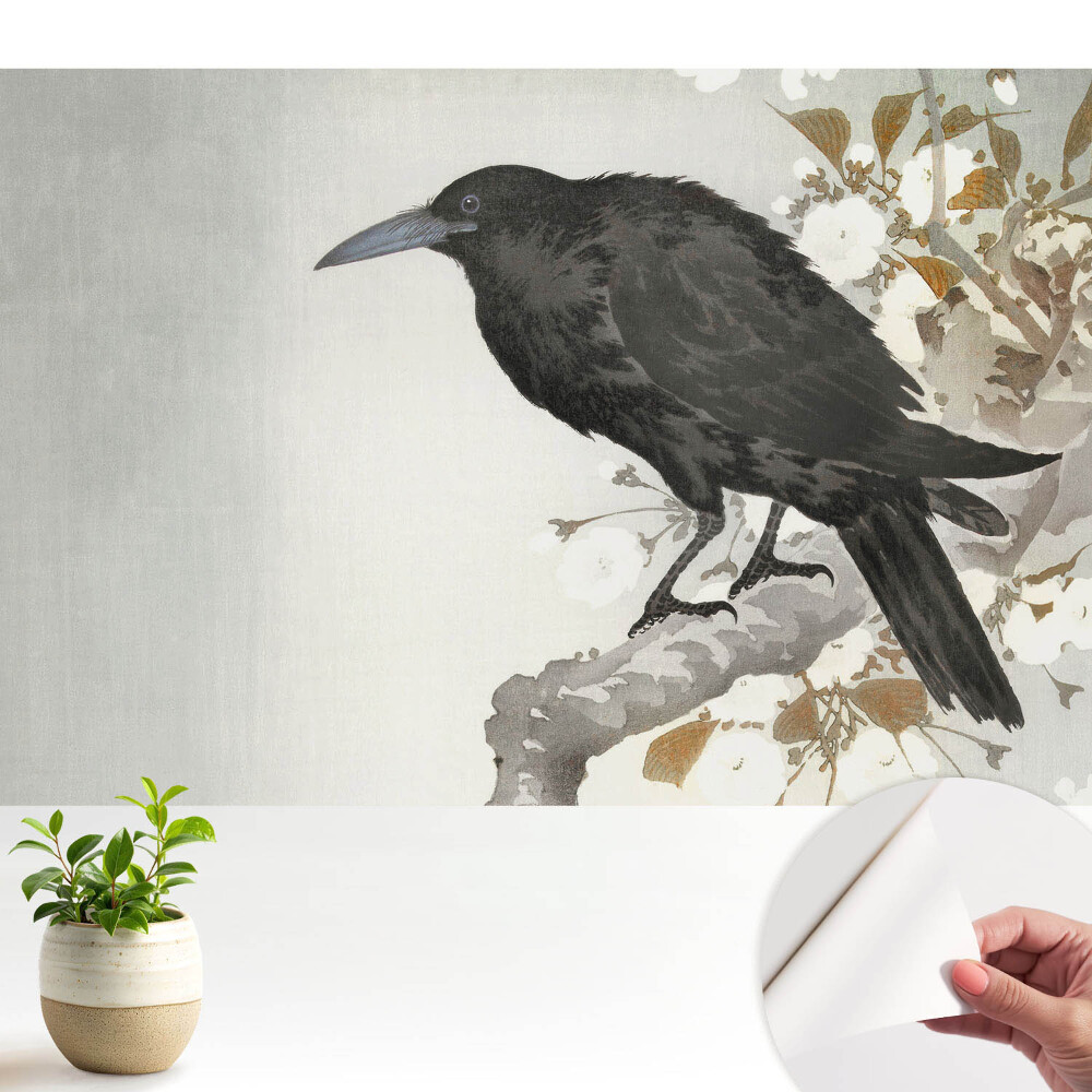 Dekor tapéta Egy finom holló a virágzó ágak hátterében
