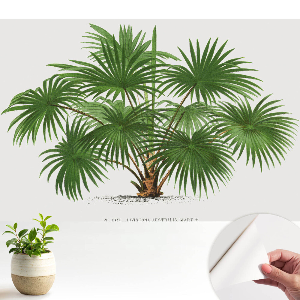 Öntapadós tapéta Zöld pálma szimmetrikus kompozíció