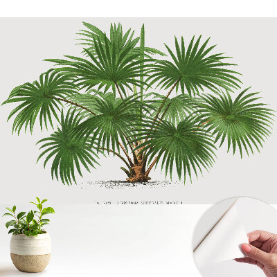 Öntapadós tapéta Zöld pálma szimmetrikus kompozíció