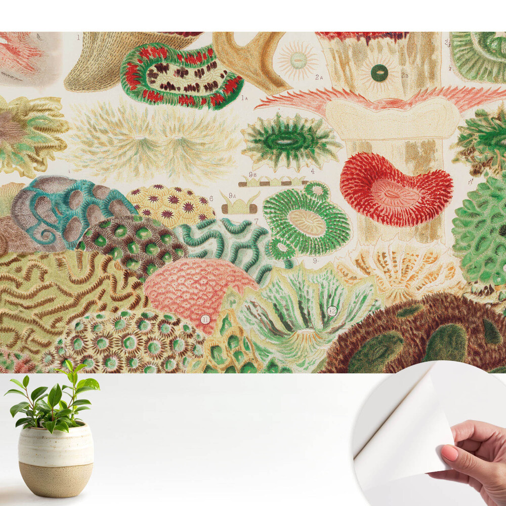 Modern tapéta Absztrakt organikus motívumok és struktúrák