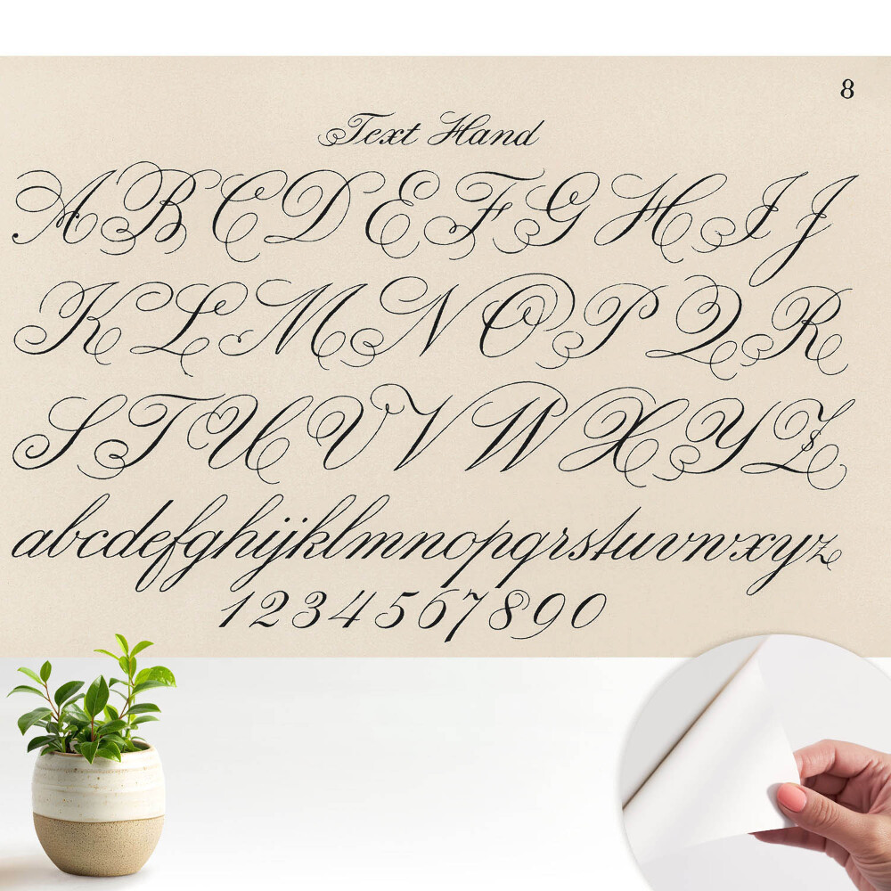 Modern tapéta Kalligrafikus ábécé bonyolult díszítésekkel