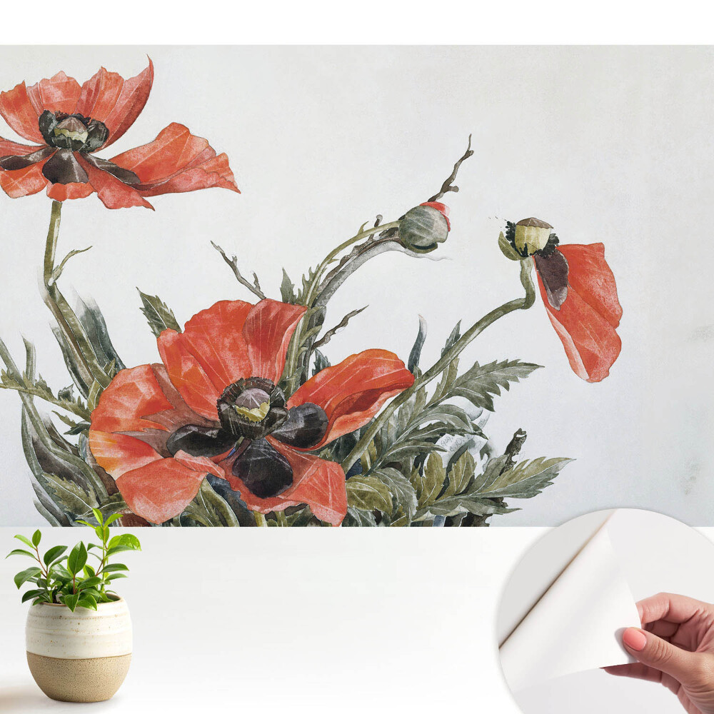 Öntapadós tapéta falra Finom pipacsok világos háttér előtt