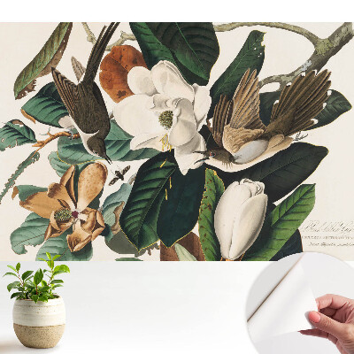 Dekor tapéta Magnóliák és madarak klasszikus harmóniában