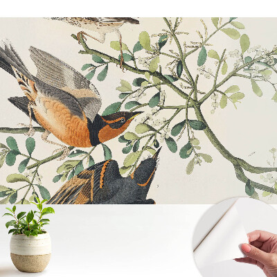Öntapadós tapéta Madarak a zöld levelek között