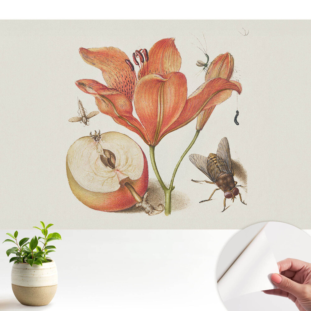 Öntapadó tapéta Virágok, rovarok, gyümölcsök, a természet harmóniája