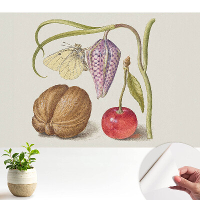 Öntapadós tapéta falra Pillangó virágon, levélen és gyümölcsön