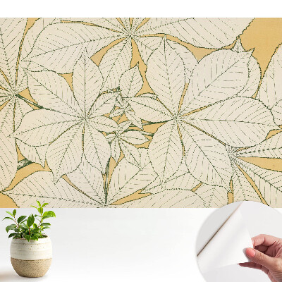 Öntapadós tapéta Stílus: minimalizmus, harmónia, levelek, otthonosság