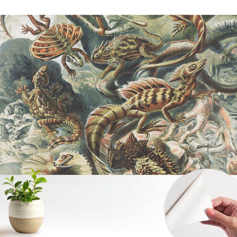 Öntapadó tapéta Mesés gyíkok mintás természet
