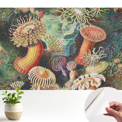 Tapéta Víz alatti formák és élénk színek