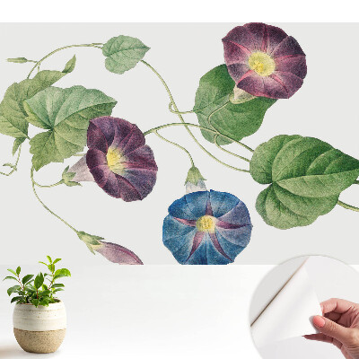 Modern tapéta Finom virágos botanikai motívumok