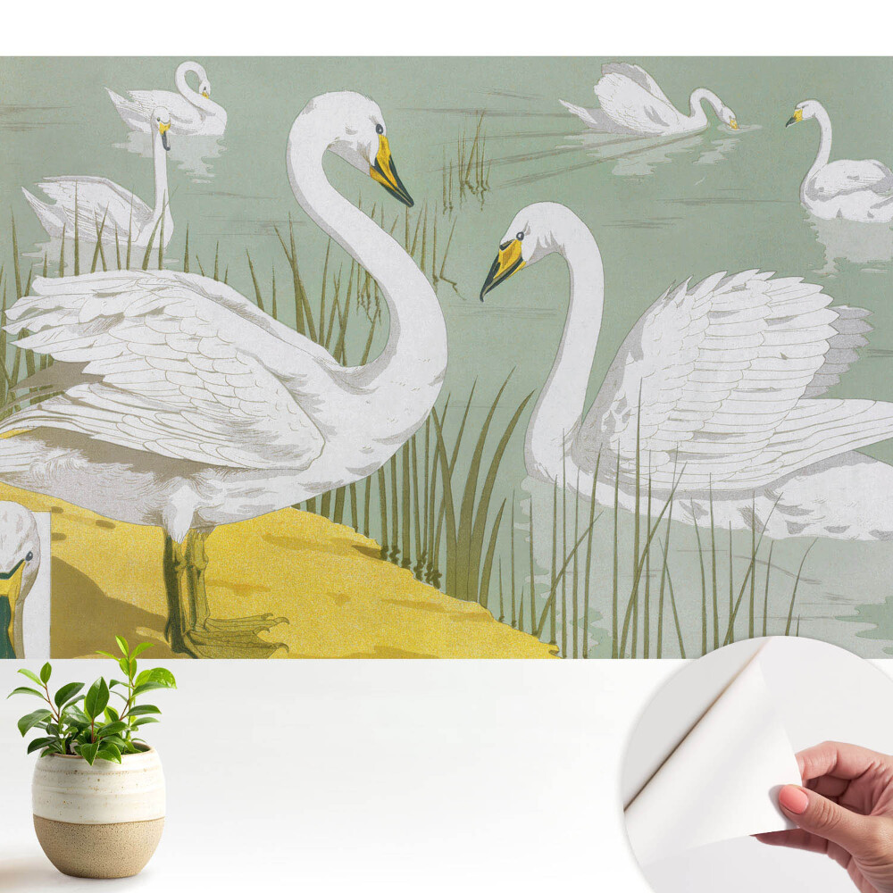 Öntapadós tapéta Hattyúk a tavon Romantikus elegancia