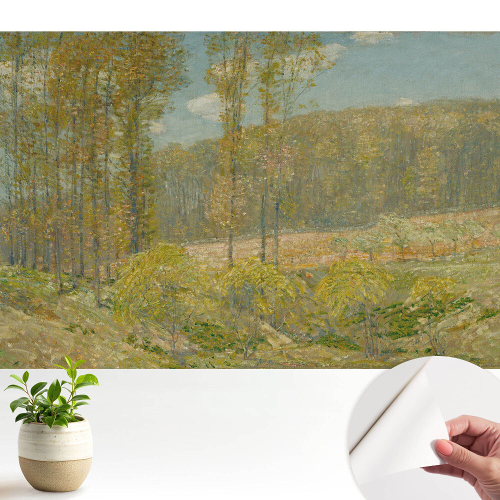 Dekor tapéta Természetes táj harmonikus stílusban