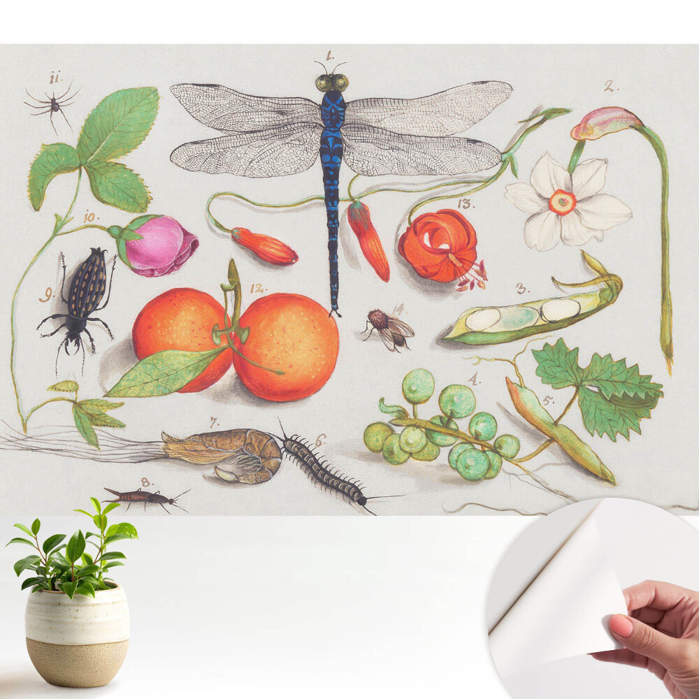 Dekor tapéta Botanikai kollázs rovarokkal