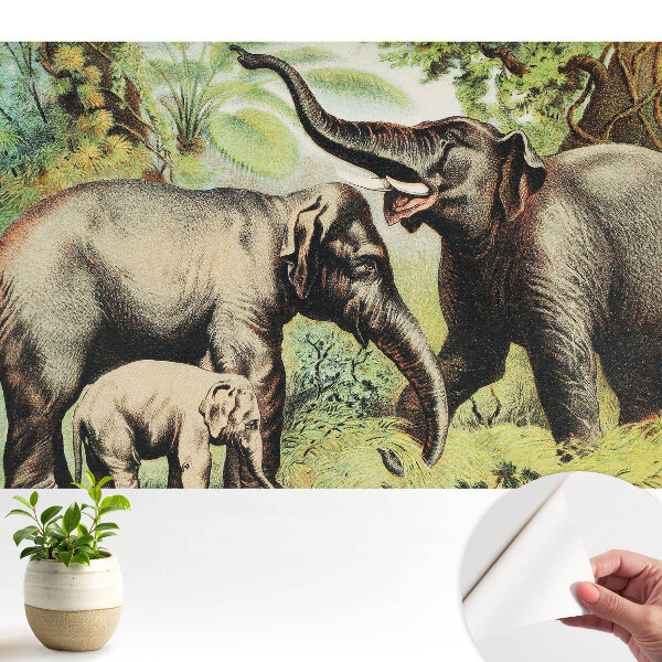 Öntapadós tapéta Elefántcsalád a dzsungel hátterében
