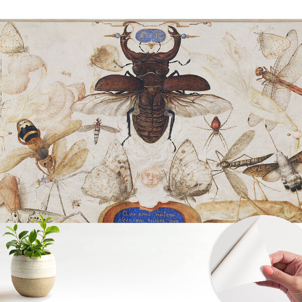 Öntapadós tapéta falra Rovarok lepkék pók klasszikus szimmetria