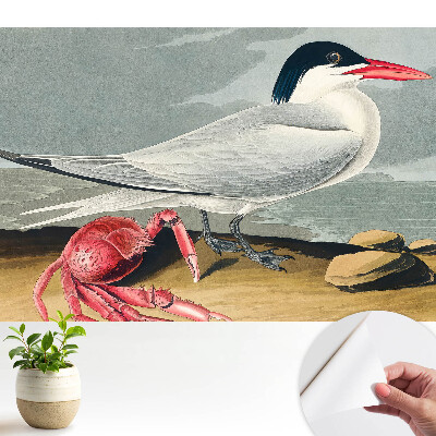 Modern tapéta Madár és rák, a természet klasszikus duettje