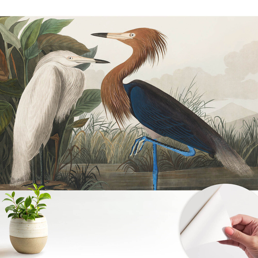 Tapéta elegáns madarakkal és növénymotívummal